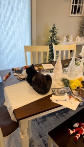 A mound of clutter on my nice dining room table with a black cat sitting directly on my beautiful white table runner.